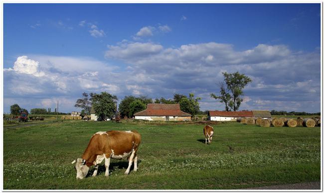 Indul az egyéni gazdaságok mezőgazdasági összeírása