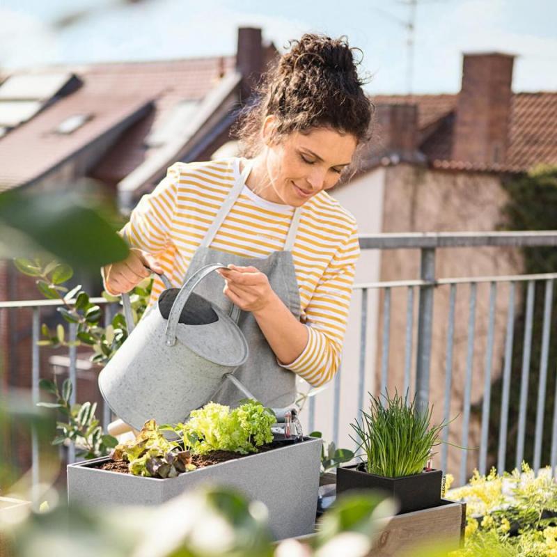 A növénytartás új formái – modern megoldások a növények szerelmeseinek