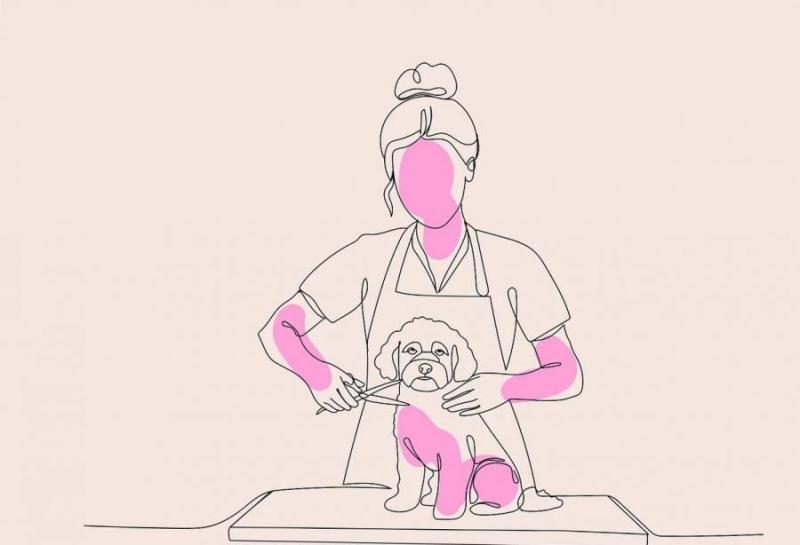 Kutyakozmetikus képzés: a jövő szakemberei itt tanulnak